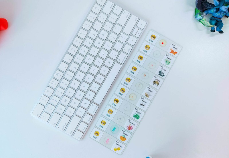 90后都没玩过的儿童玩具，当当狸显微镜体验：大屏成像+拆分设计