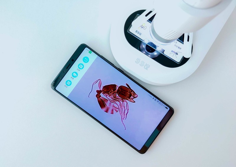 90后都没玩过的儿童玩具，当当狸显微镜体验：大屏成像+拆分设计