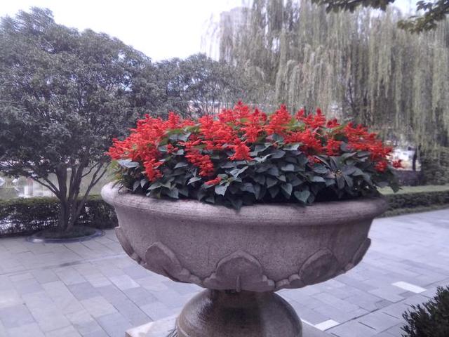 千元轻娱乐国产平板实力如何？台电M40深度体验