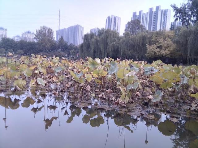 千元轻娱乐国产平板实力如何？台电M40深度体验