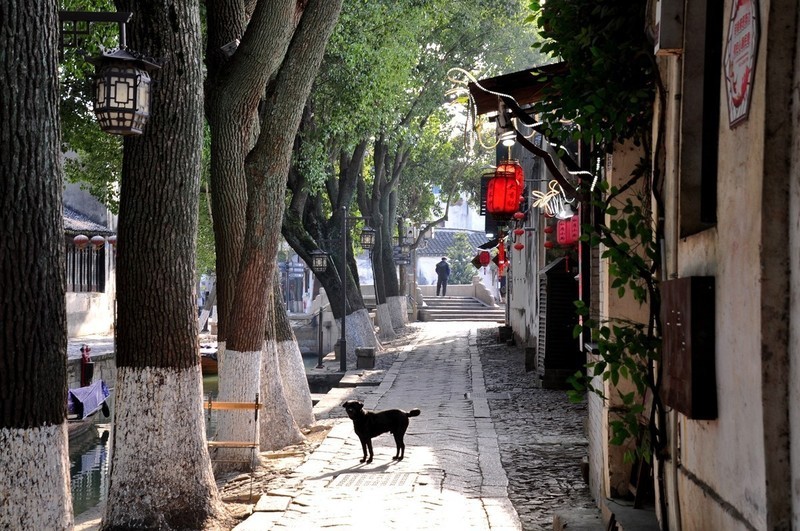 冬日里的同里古镇