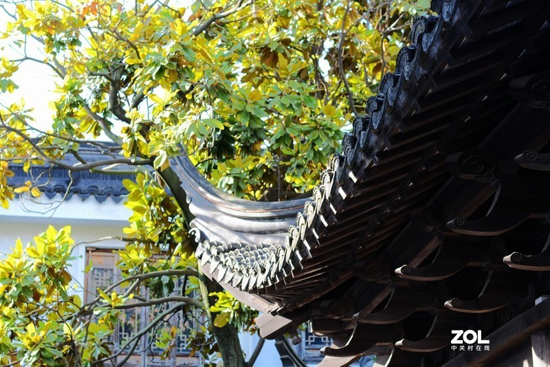 新场古镇休闲游2