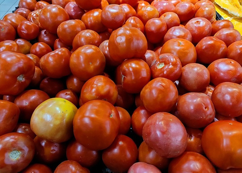 超感全焦段影像系统，OPPO Find X2 Pro随拍体验