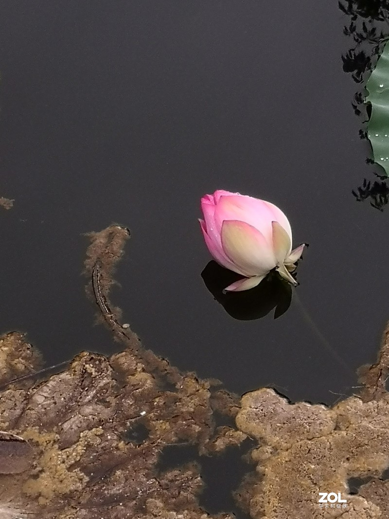 合集