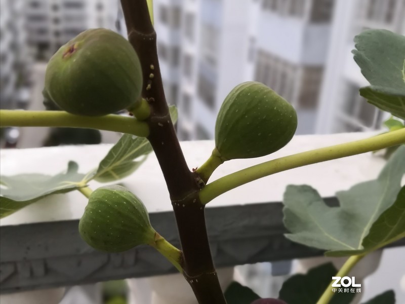 合集