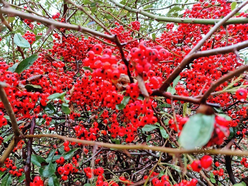 十二方面深度了解一加8T，初见青域倾城，贴心商务机