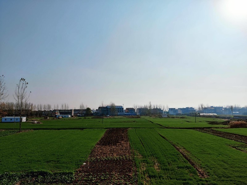 十二方面深度了解一加8T，初见青域倾城，贴心商务机