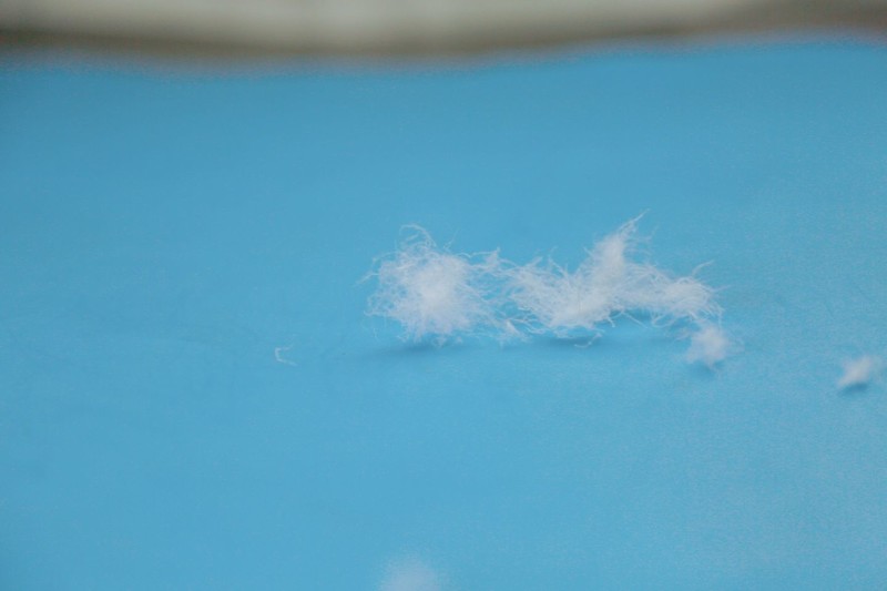 应对寒冬不畏惧，网易严选 95%白鹅绒被，真材实料才是好