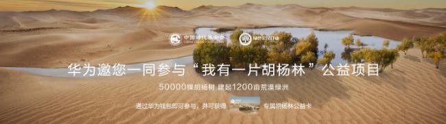 华为Mate 40系列搭载 HMS服务体验好吗？