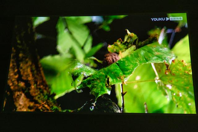 把电影院搬回家：明基W1700M真4K香不香？