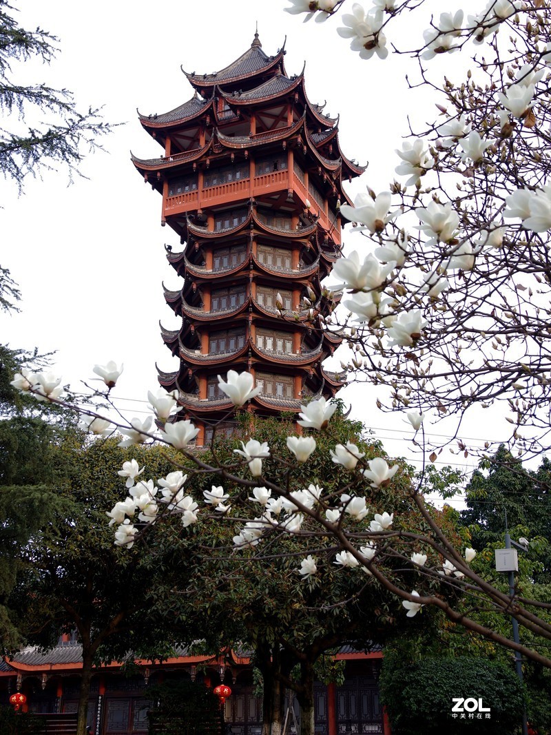 塔山揽秀----成都九天楼