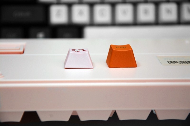 抖音开啤酒小姐姐同款面具，ikbc白无垢樱花机械键盘开箱体验