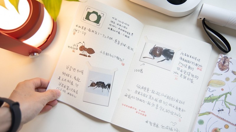 开箱测评当当狸智能显微镜，显微镜下的微观世界真神奇