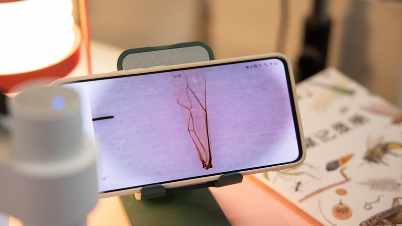 开箱测评当当狸智能显微镜，显微镜下的微观世界真神奇