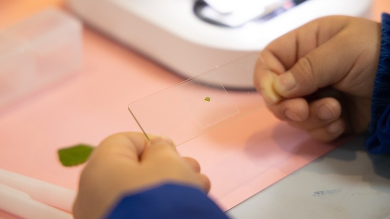 开箱测评当当狸智能显微镜，显微镜下的微观世界真神奇