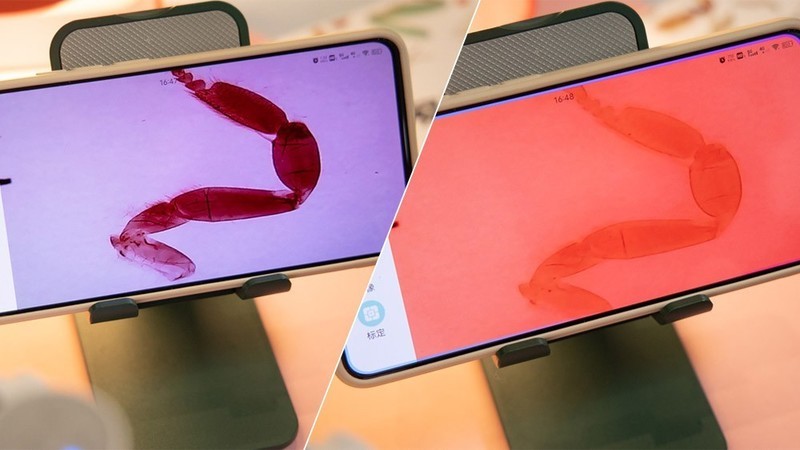 开箱测评当当狸智能显微镜，显微镜下的微观世界真神奇