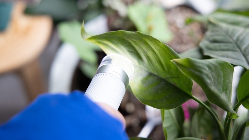 开箱测评当当狸智能显微镜，显微镜下的微观世界真神奇