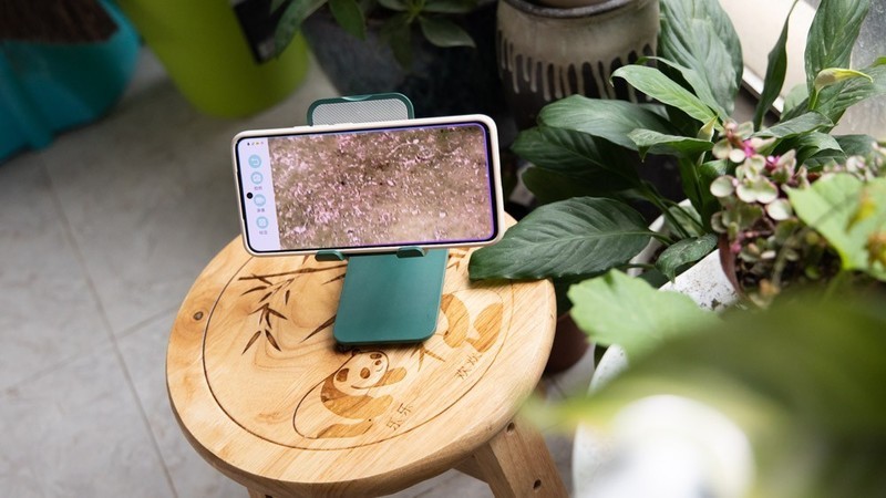 开箱测评当当狸智能显微镜，显微镜下的微观世界真神奇