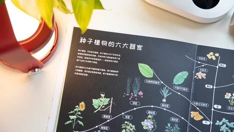 开箱测评当当狸智能显微镜，显微镜下的微观世界真神奇