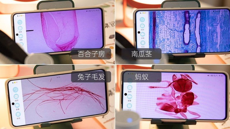 开箱测评当当狸智能显微镜，显微镜下的微观世界真神奇