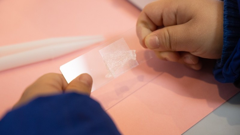 开箱测评当当狸智能显微镜，显微镜下的微观世界真神奇