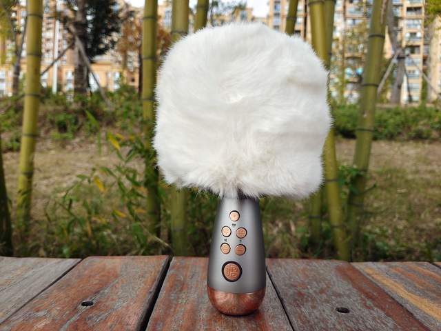 大头大头，K歌不愁，2021萌系新品唱吧K歌宝G2 MAX入手评测