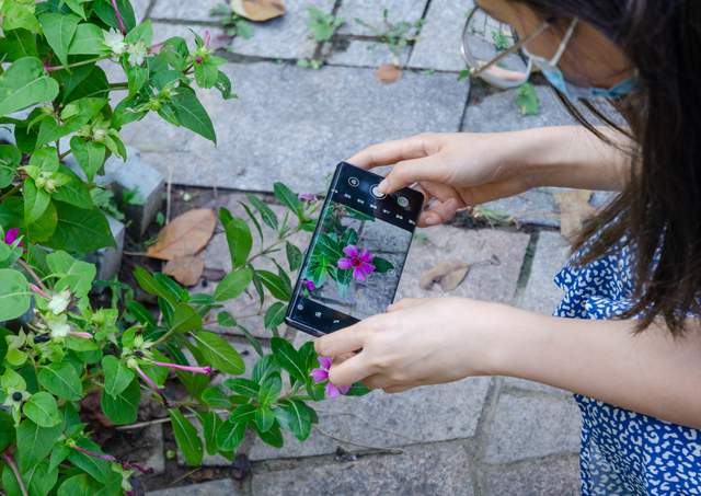 手机多镜头怎么充分发挥？荣耀Magic3 Pro多主摄融合给出满分答案