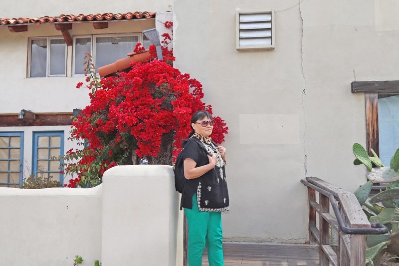 游览美国圣地亚哥（二)