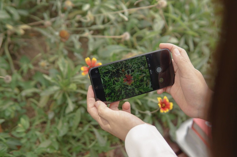超高颜值+鸿蒙系统，华为nova 10z 第一时间上手体验报告，稳中求胜