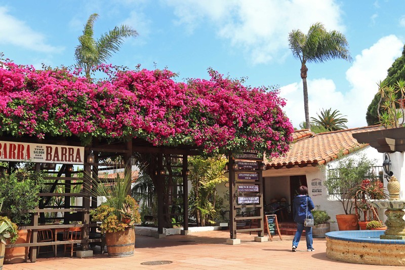 游览美国圣地亚哥（二)