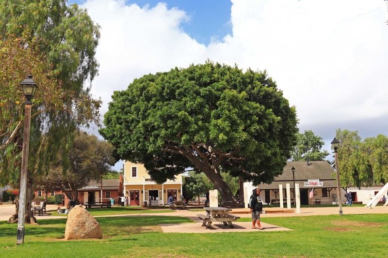 游览美国圣地亚哥(一）