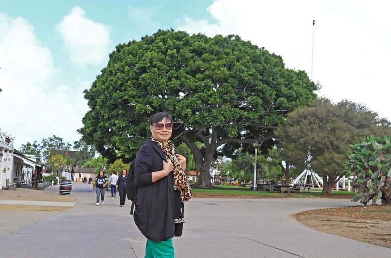 游览美国圣地亚哥(一）