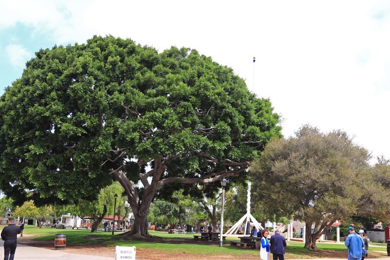 游览美国圣地亚哥（三)