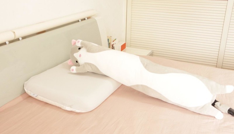 竟然有人薅酒店枕头？好的睡眠其实很简单！米家记忆棉深睡枕体验