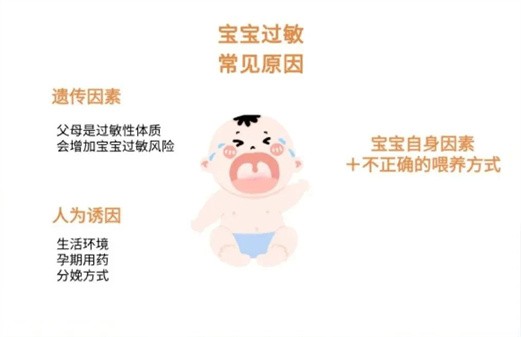 过敏因素有哪些？过敏了怎么办？预防和调理攻略来了！