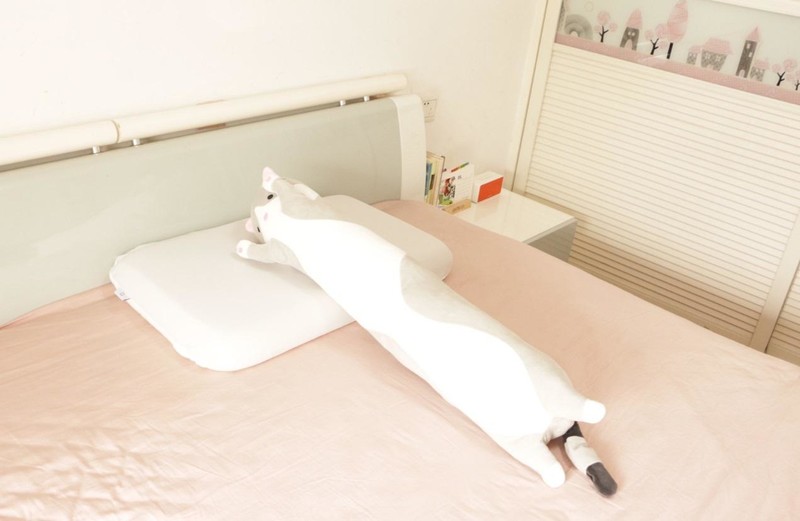 竟然有人薅酒店枕头？好的睡眠其实很简单！米家记忆棉深睡枕体验