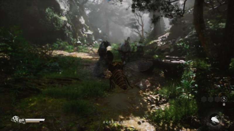 《黑神话：悟空》国人的梦中情游！耕升 RTX 40系显卡享丝滑体验！