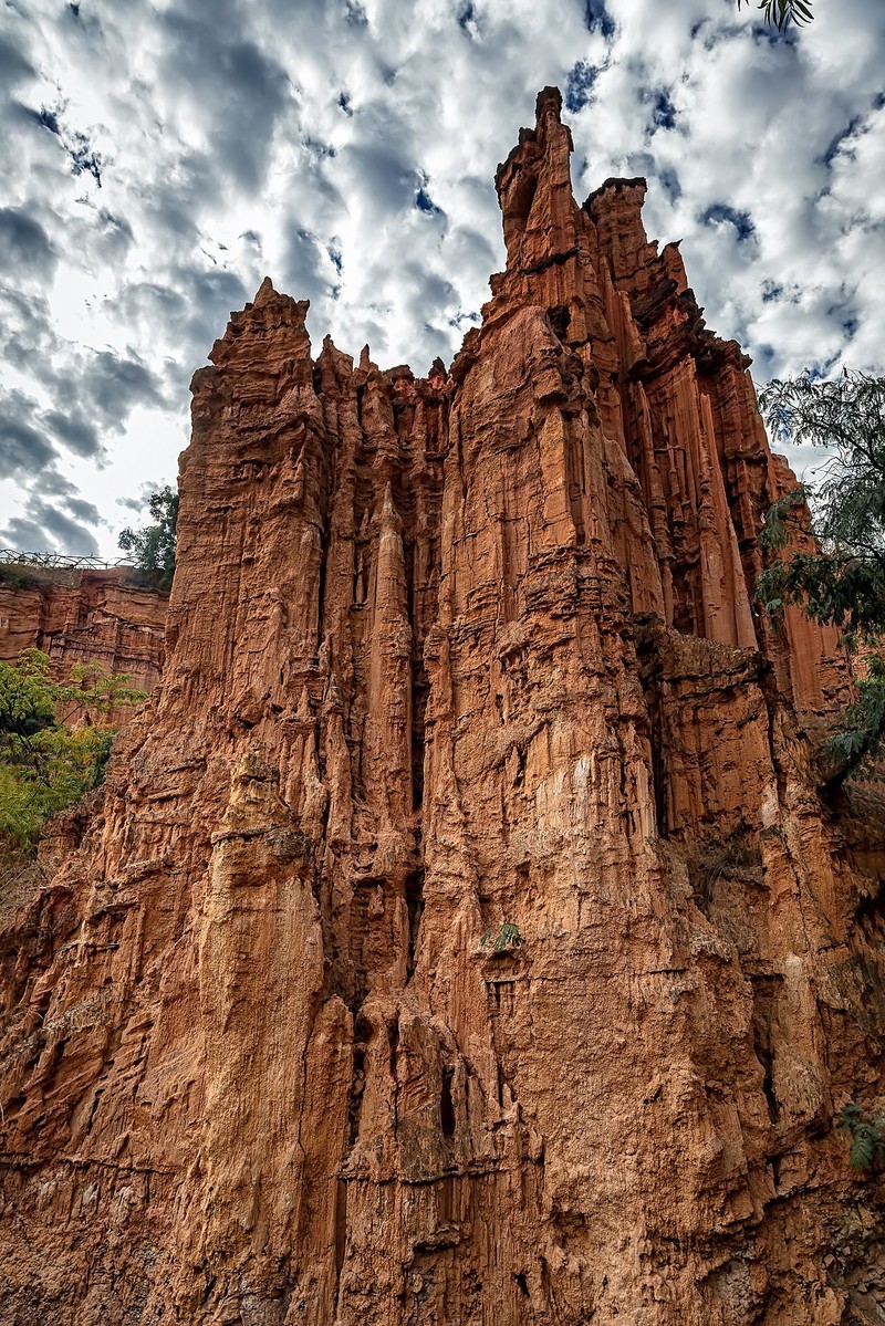 云南元谋 ·  物茂土林