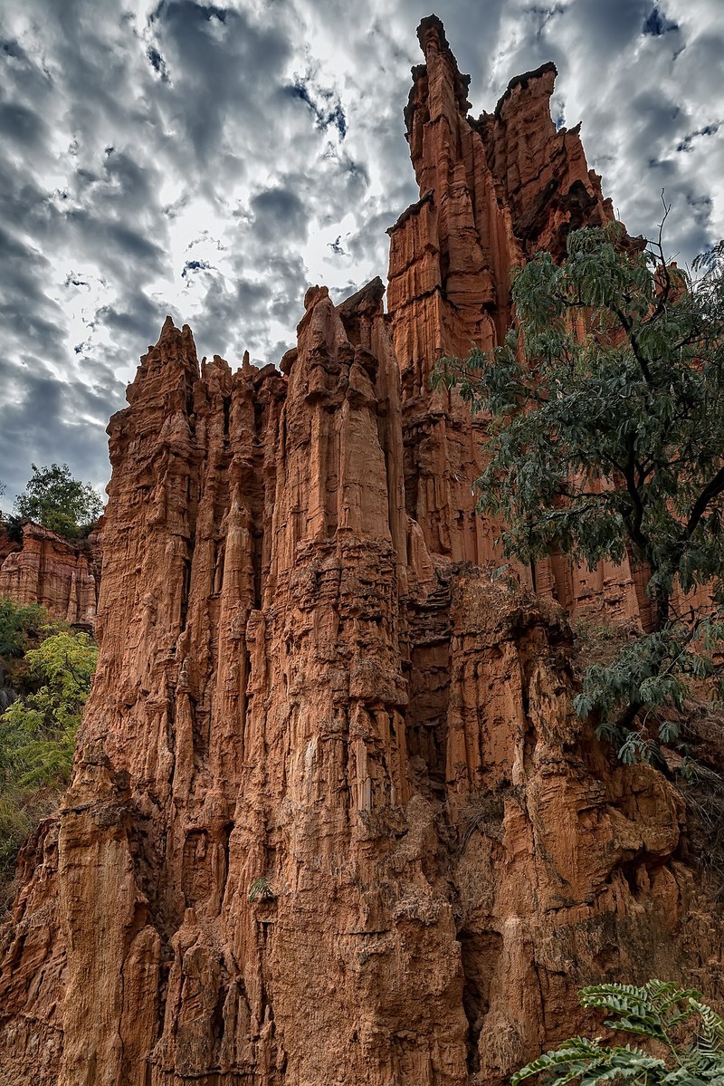云南元谋 ·  物茂土林