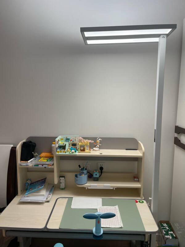 客厅照明灯什么牌子的比较好用？选这5款护眼大路灯，美观又护眼