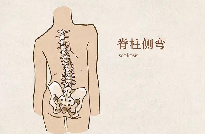 人体工学护腰坐姿椅哪个品牌最好？实测盘点护腰坐姿椅十大品牌