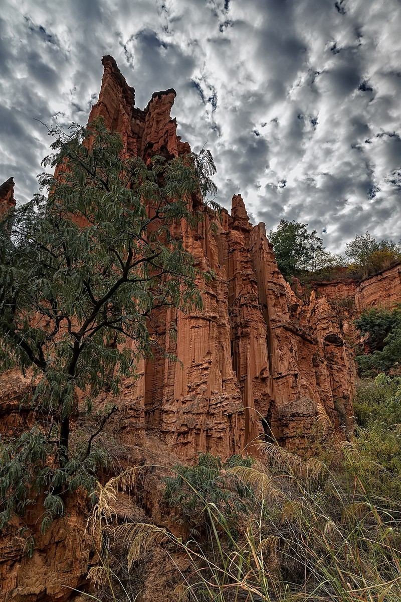 云南元谋 ·  物茂土林