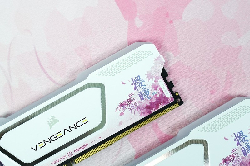 美商海盗船玩起了二次元！复仇者RGB SL樱瞳花嫁联名款内存体验