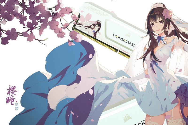 美商海盗船玩起了二次元！复仇者RGB SL樱瞳花嫁联名款内存体验
