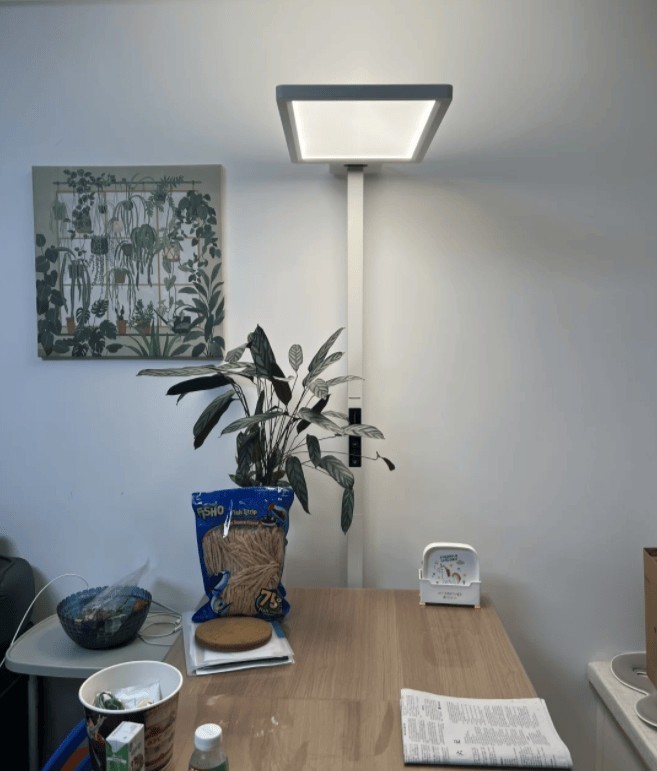 全光谱大路灯是不是智商税？2025专业儿童护眼大路灯测评推荐