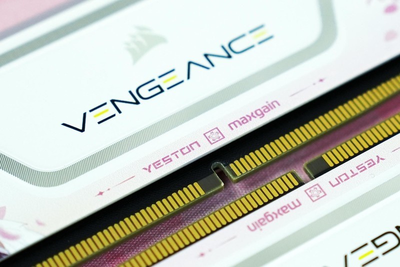 美商海盗船玩起了二次元！复仇者RGB SL樱瞳花嫁联名款内存体验