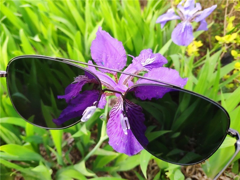 米家尼龙偏光太阳镜——复刻时尚经典，阻隔眩光，双面防油污