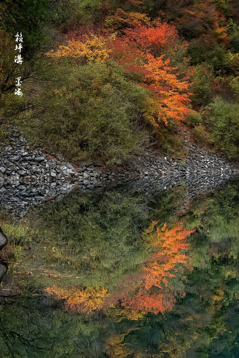 川西茂县：松坪沟 · 墨海