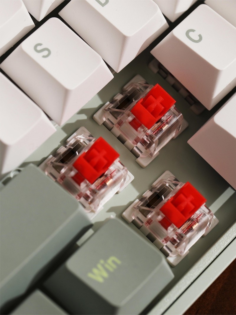 129r！又被机械键盘卷到了，芦苇色清新大气