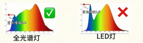 十大客厅落地台灯品牌款式推荐哪款？十大客厅落地台灯品牌款式